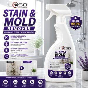 LYKSO STAIN & MOLD 500ML